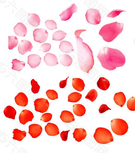 大旗策略 中芯国际A股定价27.46元，开启半导体产业价值重估大门