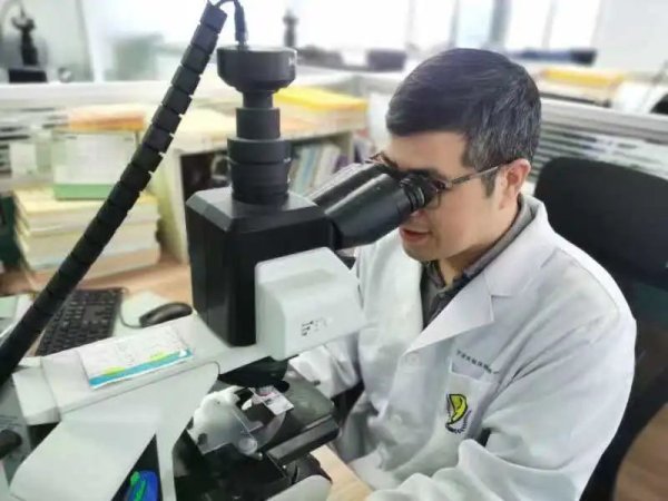 金牛速配 12岁女孩膝关节长出一个“鸡蛋”，医生：是恶性肿瘤，青少年多发!