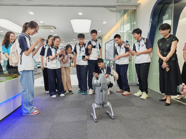 擒牛网 跨越千里的相遇，沪滇渝晋少年共享AI与非遗课堂